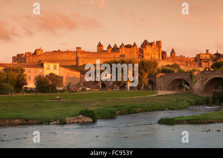 La Cite, medieval fortress city, bridge over River Aude, Carcassonne, UNESCO World Heritage Site, Languedoc-Roussillon, France Stock Photo