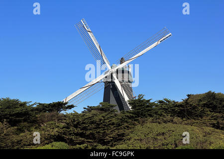 Windmill in Golden Gate Park Stock Photo