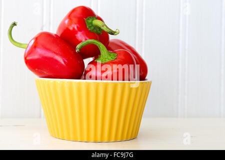 Little red peppers from the home garden. Stock Photo