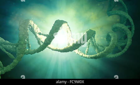 DNA strand model - genetics illustration Stock Photo