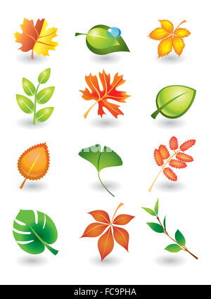 Vector  leaves Stock Photo