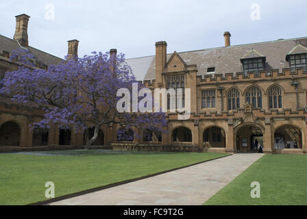 Sydney University Quadrangle Stock Photo