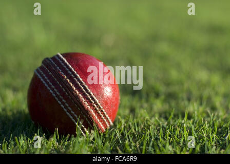 Red cricket ball on green grass Stock Photo