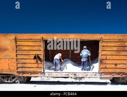 workers load salt into trains in the Salar de Uyuni, Bolivia, the largest salt flat in the world. It's also home to the largest Stock Photo