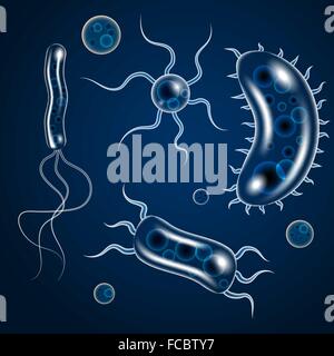 Bacteria, microbes, superbug, virus vector icons. Bacteria medicine and ...