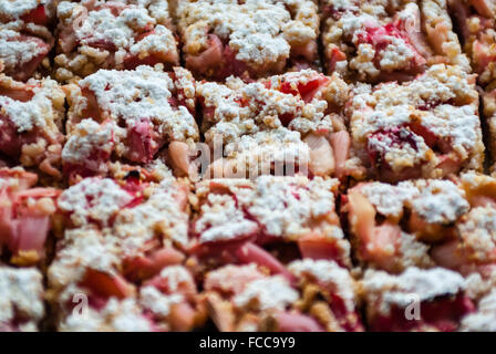 Close-up macro of fresh rhubarb cake pastry sprinkled with white powdered sugar icing, cut into squares with focus on middle. Stock Photo