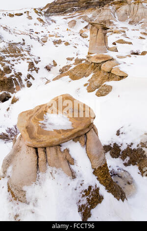 Badlands, hoodoos in winter, Willow Creek, Drumheller, Alberta, Canada Stock Photo