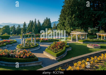 The Rose Garden, University of BC, Vancouver, British Columbia, Canada Stock Photo