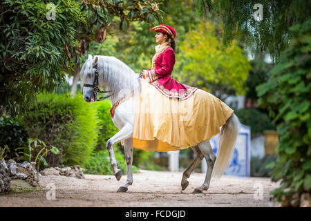 horse, animal, baroque, riding, costume, rider, equestrian ...