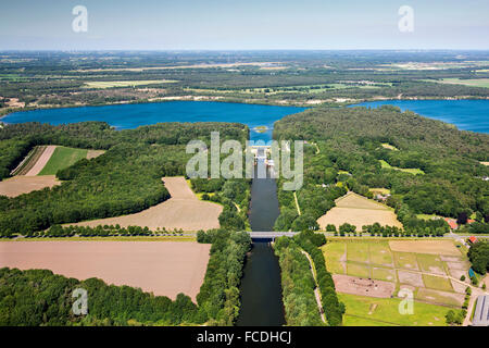Netherlands, Bergen, Nature reserve called Maasduinen. Trees growing on former river dunes. Aerial Stock Photo