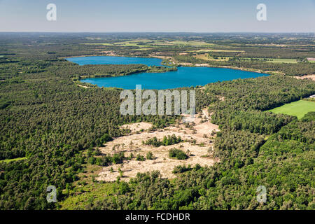 Netherlands, Bergen, Nature reserve called Maasduinen. Trees growing on former river dunes. Aerial Stock Photo