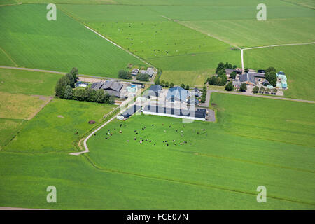 Netherlands, IJsselmuiden, Mound of IJssel river. Farmland and farms. Aerial Stock Photo