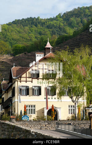 Spitz, Danube, UNESCO World Heritage Site The Wachau Cultural Landscape, Lower Austria, Austria Stock Photo