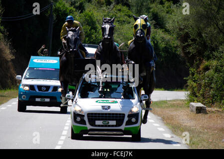 Impressionen - Etappe Adjaccio - Calvi kurz vor Cargese bei der 100. Tour de France, 1. Juli 2013, Cargese, Korsika, Frankreich. Stock Photo