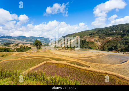 Rice terraces in Yuanyang, China Stock Photo