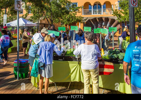Sarasota Saturday morning Farmers Market established in 1979 in Sarasota Florida Stock Photo