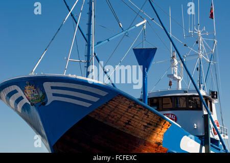 Horizontal picture of commercial tuna fishing vessel in port. Hondarribia, Basque Country, Spain.