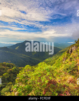 World’s End at morning. Horton Plains. Stock Photo