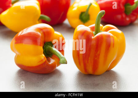 Fresh raw striped yellow and red peppers Stock Photo