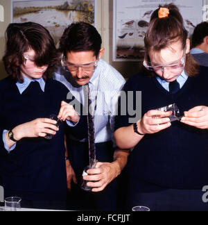 Female secondary students girls and teacher in a biology science class lesson at Pantycelyn High School in1990 1990s  Llandovery Carmarthenshire Wales UK  KATHY DEWITT Stock Photo