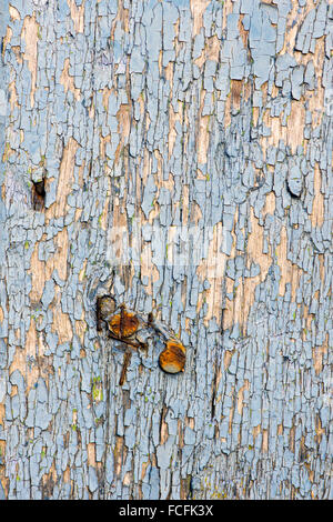 Old painted blue wooden door with peeling paint texture Stock Photo