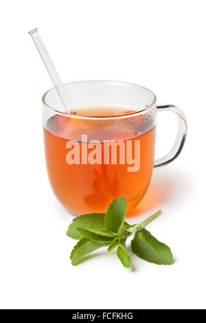 Glass with tea and fresh Stevia rebaudiana leaves as sweetener on white background Stock Photo