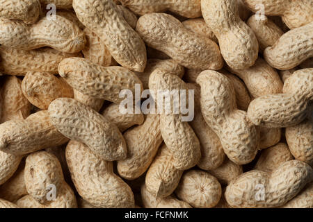 Roasted peanuts in the shell full frame close up Stock Photo