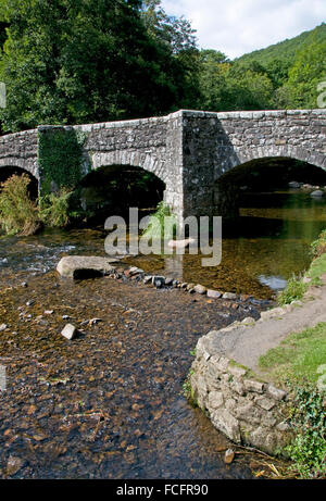 Fingle Bridge crossing the River Teign, Dartmoor Stock Photo