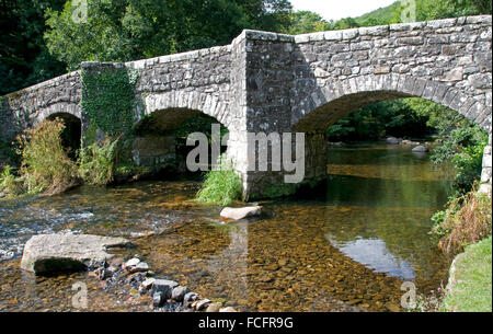 Fingle Bridge crossing the River Teign, Dartmoor Stock Photo