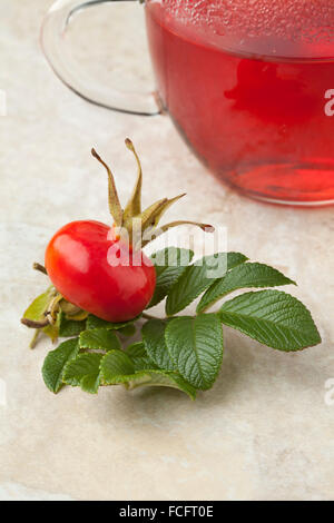 Glass of rose hip tea and a fresh rose hip Stock Photo