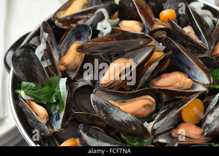 Pan with fresh cooked mussels close up Stock Photo