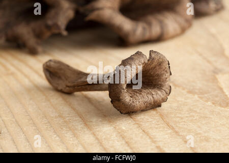 Fresh raw horn of plenty mushrooms Stock Photo