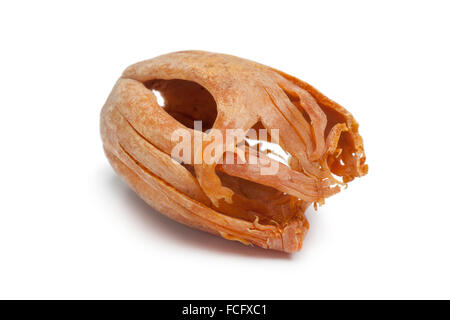 Close-up of dried Mace blades on white background Stock Photo