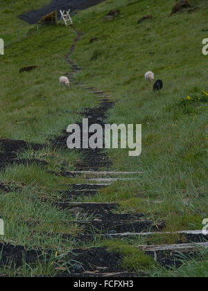 Black gravel pathway downhill towards a sheep pasture in Heimaey, Vestmannaeyjar, Iceland. Stock Photo
