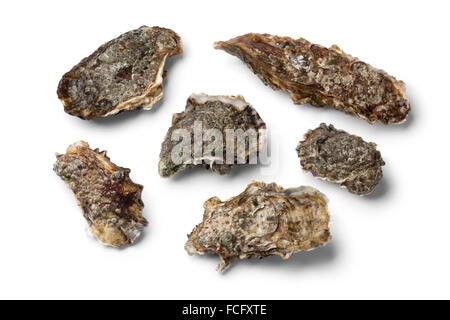 Fresh raw pacific oysters on white background Stock Photo