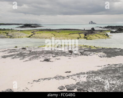 Kicker Rock far away on the horizon against a cloudy sky from a sandy beach with black lava rocks covered in glowing green mossy Stock Photo