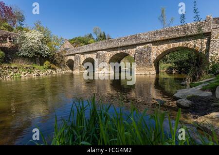 NORMANDIE-MAINE REGIONAL NATURE PARK, ORNE (61), FRANCE Stock Photo