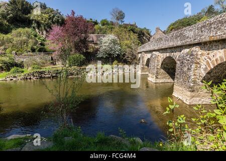 NORMANDIE-MAINE REGIONAL NATURE PARK, ORNE (61), FRANCE Stock Photo