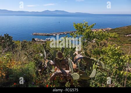 ILLUSTRATION OF SOUTHERN CORSICA (2A), FRANCE Stock Photo