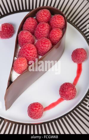 DISHES FROM THE COOKBOOK BY LAURENT CLEMENT, MICHELIN-STARRED CHEF, CHARTRES, FRANCE Stock Photo