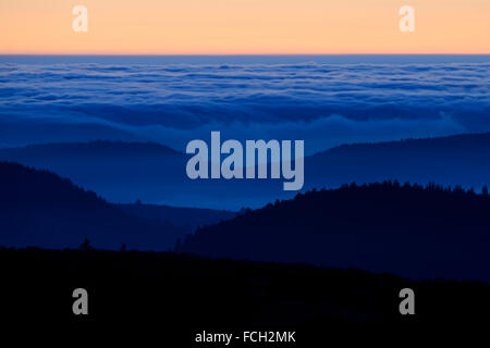 Distant view over wooded mountain ranges above the clouds with orange colored sky at dusk, atmospheric inversion at blue hour. Stock Photo