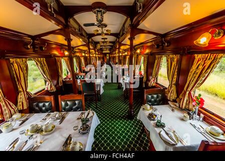 Rovos rail luxury train dining car, Northern Cape, South Africa Stock ...