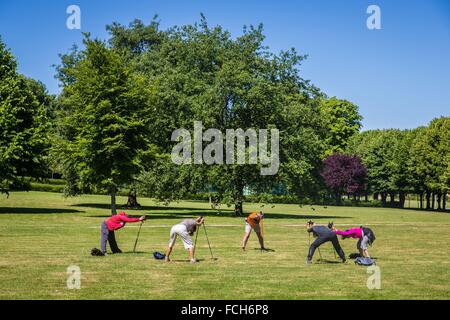 ILLUSTRATION OF THE YVELINES (78), ILE DE FRANCE, FRANCE Stock Photo