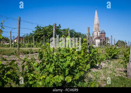 ILLUSTRATION OF THE YVELINES (78), ILE DE FRANCE, FRANCE Stock Photo