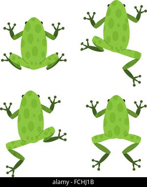 Set of green frog in flat style with pattern, vector Stock Vector
