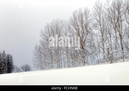 Winter landscape covered in fresh snow in Sauerland, Hochsauerlandkreis, Altastenberg, North Rhine-Westphalia, Germany. Stock Photo