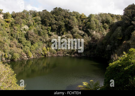 The Southern Crater in the Waimangu Volcanic Rift Valley in New Zealand is inactive since its formation. Stock Photo