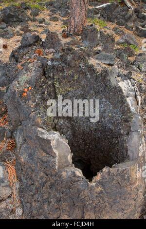 Lava Cast Forest Trail, Newberry National Volcanic Monument, Oregon ...