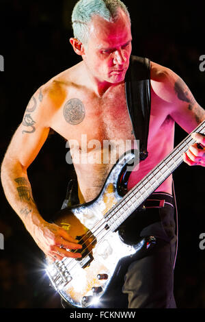 Torino Italy. 10th December 2011. The American rock band Red Hot Chili Peppers performs live on stage at PalaOlimpico Isozaki du Stock Photo