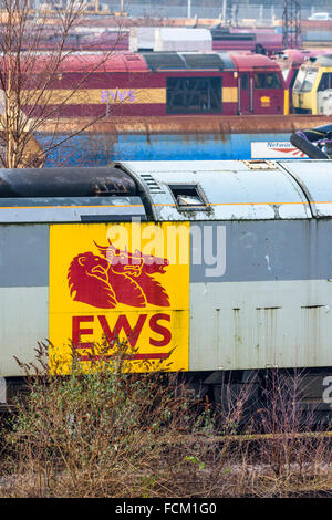 English Welsh and Scottish Railway logo on the side of a disused class 60 diesel loco at Toton depot Stock Photo